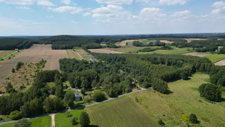 Działka Sprzedaż Borowa 3