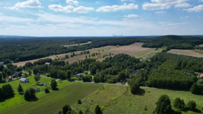 Działka Sprzedaż Borowa