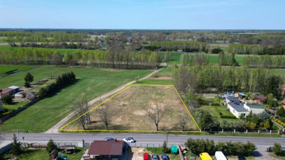 Działka Sprzedaż Bujny Szlacheckie