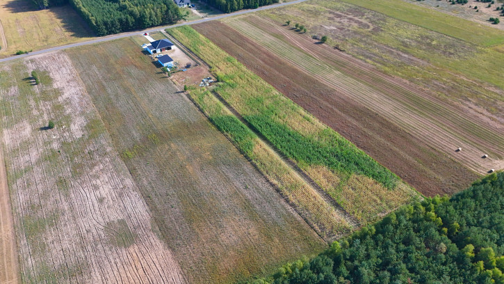 Działka Sprzedaż Mierzyn 6