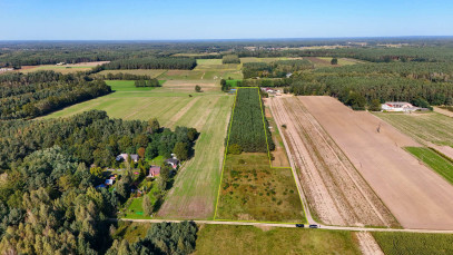 Działka Sprzedaż Parzno