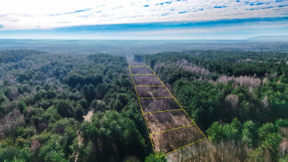 Działka Sprzedaż Bukowa