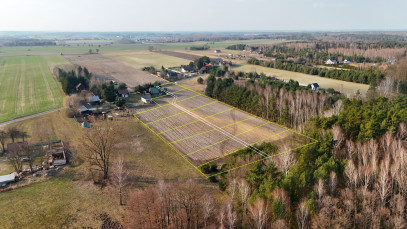 Działka Sprzedaż Leonów