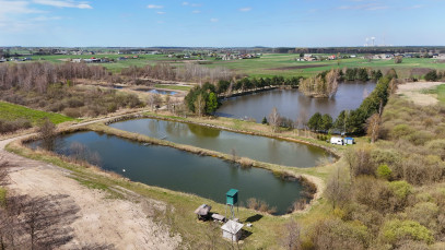 Działka Sprzedaż Wiewiórów