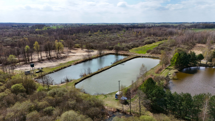 Działka Sprzedaż Wiewiórów 4