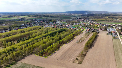 Dom Sprzedaż Gorzędów Tadeusza Kościuszki