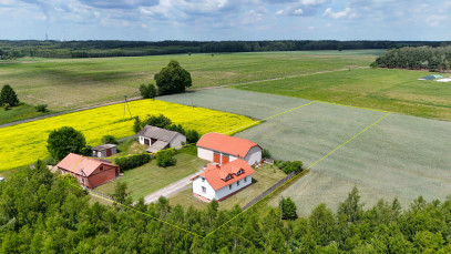 Dom Sprzedaż Napoleonów