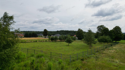 Działka Sprzedaż Dąbrowa Nad Czarną