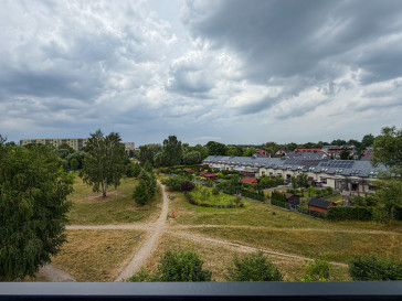 Mieszkanie Sprzedaż Bełchatów osiedle Okrzei