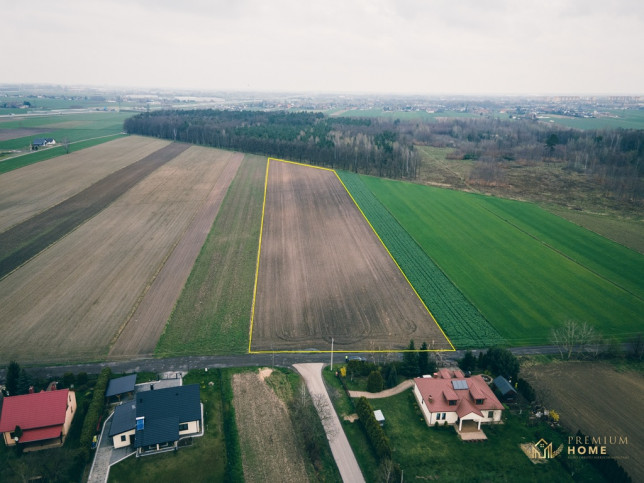 Działka Sprzedaż Piotrków Trybunalski 12