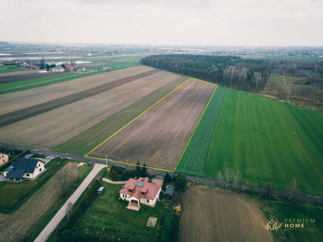 Działka Sprzedaż Piotrków Trybunalski 13