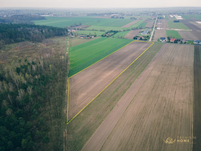 Działka Sprzedaż Piotrków Trybunalski 15